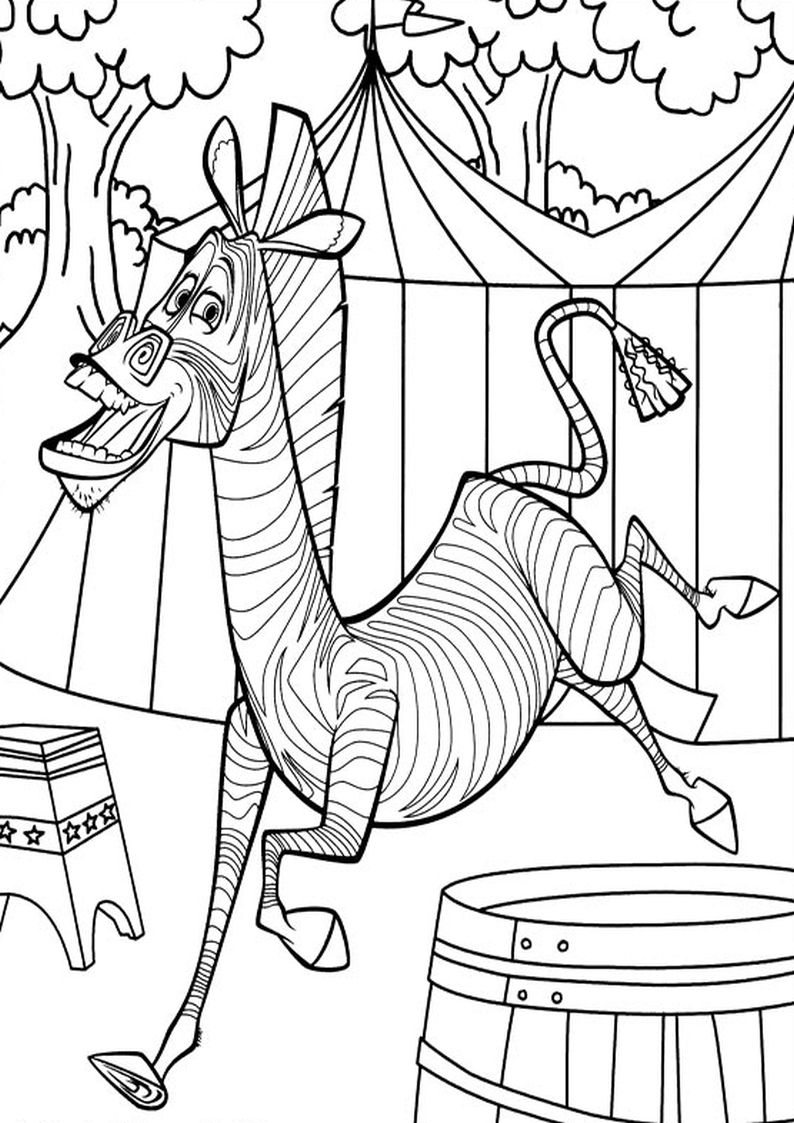 Zebra kolorowanki